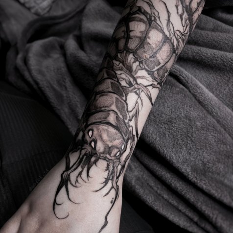 Татуировка в стиле тату графика сколопендра 