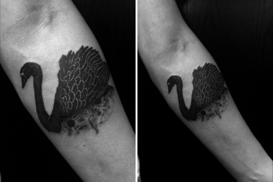 Татуировка лебедь