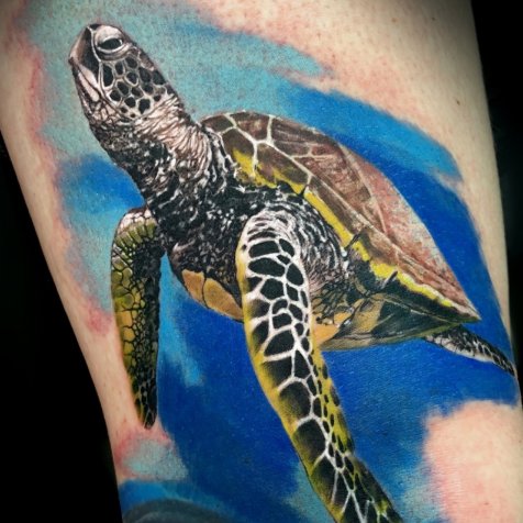 Татуировка в стиле тату реализм черепаха