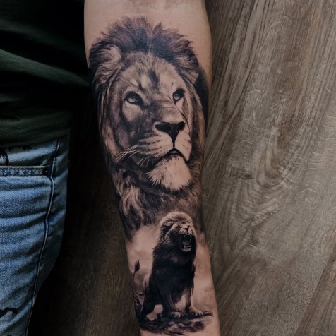 Татуировка в стиле тату реализм лев