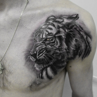Татуировка в стиле блек энд грей тигр