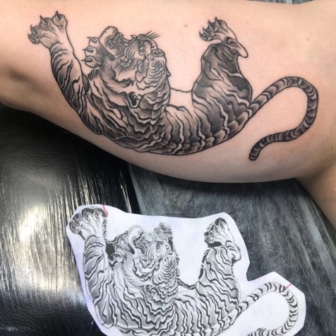 Татуировка в стиле олдскул тату тигр