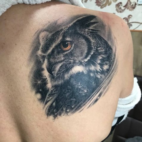 Татуировка в стиле тату реализм сова